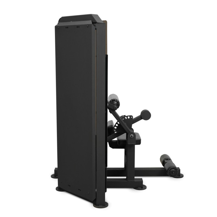 Пресс-машина профессиональный BRONZE GYM PARTNER ML-812