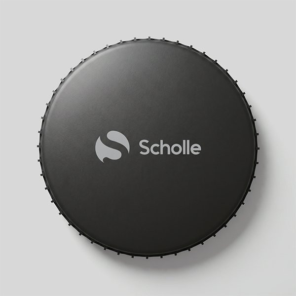 Батут каркасный 300см (10фут), SCHOLLE, с защитной сеткой и лестницей, зеленый/оранжевый