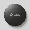 Батут каркасный 240см (8фут), SCHOLLE, с защитной сеткой и лестницей, зеленый/оранжевый