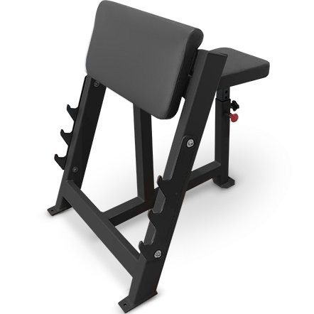Скамья Скотта BRONZE GYM PARTNER AL-303