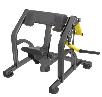 BRONZE GYM PL-1713 Бицепс