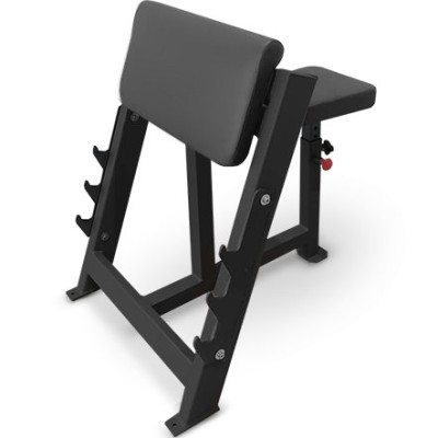 Скамья Скотта BRONZE GYM PARTNER AL-303