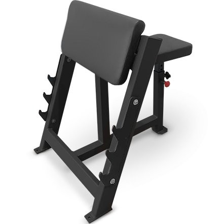 Скамья Скотта BRONZE GYM PARTNER AL-303