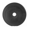 Диск 26 мм. пластиковый 1,25 кг VictoryFit VF-SPL260125