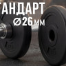 Диск 26 мм. пластиковый  1,0 кг VictoryFit VF-SPL260100