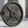 Диск 51 мм. чугунный окрашенный 25 кг, VictoryFit VF-SC512500