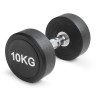 Гантель неразборная круглая 10 кг. VictoryFit VF-R100
