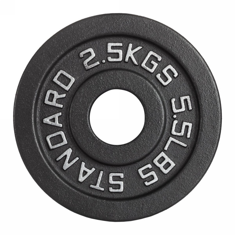 Диск 51 мм. чугунный окрашенный 2,5 кг, VictoryFit VF-SC510250