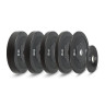 Диск бамперный 51 мм, обрезиненный 10 кг, VictoryFit VF-D51100