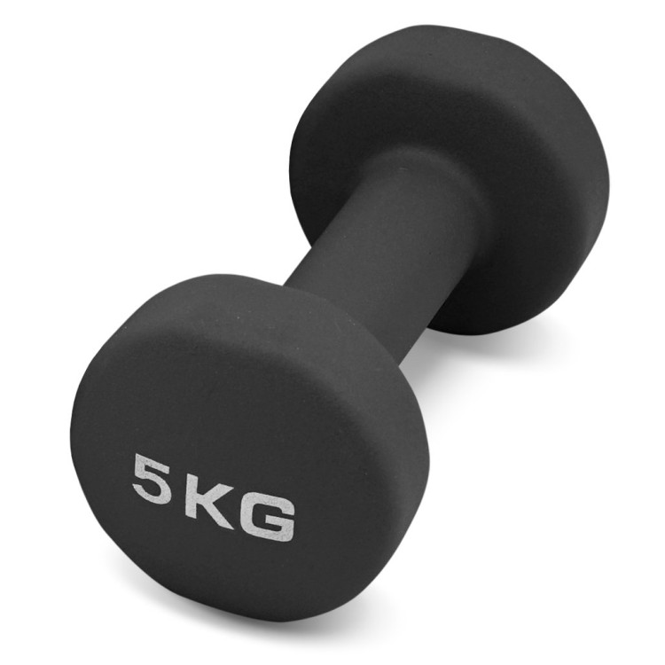 Гантель для аэробики неопреновая PRCTZ NEOPRENE DUMBBELL, 5 кг.